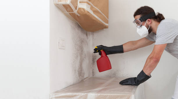 Professional Attic Mold Removal technician working in Middletown, NY