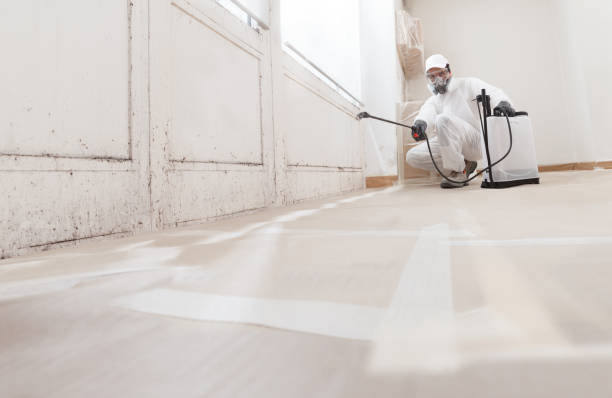 24/7 Emergency Attic Mold Removal experts in Middletown, NY