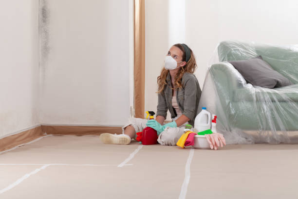 Reliable Attic Mold Removal contractor in Middletown, NY by WQB Mold Removal